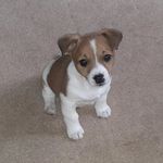 Jody Ogle - @jodyogle4 - Instagram