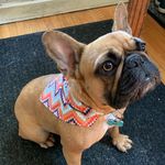 Jody Rawlings Orr - @dottie_70 - Instagram