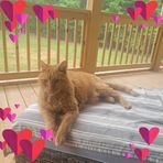 Jody Ostrander-Erickson - Facebook