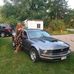 Jody Payne - Facebook