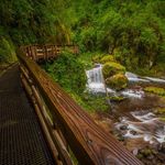 Jody Phipps - @wherevertheroadleadsme - Instagram