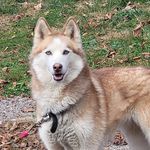 Jody Powers - @jodypowers24251 - Instagram