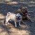 Jody Ramsay - Facebook