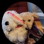 Jody Reed - @jody.reed.981 - Instagram