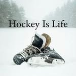 Jody Ritchie - @best_hockey_fights_and_brawls - Instagram