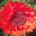 Jody Rodgers - @rodg4bucks - Instagram