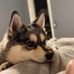 Jody Saylor - Facebook