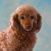 Jodie Campbell Schofield - Facebook