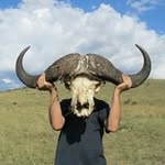 Jody Schofield - @jodyschofield - Instagram