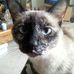 Jody Seward - Facebook