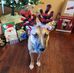 Jody Shaw - Facebook