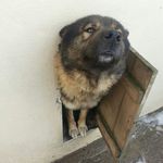 jody o shea - @sheajodyo - Instagram