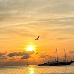 Jody Shea - @jody_shea1942 - Instagram