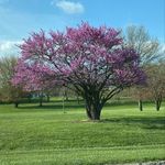 Jody Sheldon - @sheldon212332 - Instagram