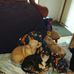 Jodi Slaughter - Facebook