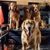 Jody Slone - Facebook