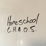 Jody Snyder - @homeschool_chaos - Instagram