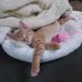 Jody Snyder - Facebook