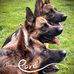 Jody Snyder Huber - Facebook