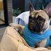 Jody Bailey Spivey - Facebook