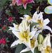Jody Schaab - Facebook