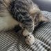 Jody Stauffer - Facebook