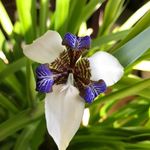 Jody Still - @1956picchu - Instagram