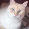 jodystrong7 - @jody.strong71 - TikTok