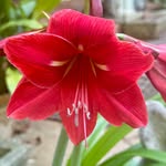 Jody Talley Butler - @jodysearthlydelights - Instagram