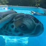 Jody Travis Harwell - @turtlebeachlova - Instagram