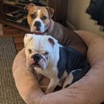 Jodi Treadway - @jodi.treadway - Instagram