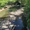 Joe Trudeau - @joe.official27 - TikTok