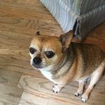 Jody Vick - @jodyvick1936 - Instagram