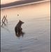Jody Vickrey - Facebook