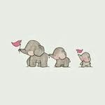 Jody Wallis - @jody.wallis - Instagram