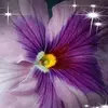 Jodie Weaver - @jo.jo_78 - TikTok