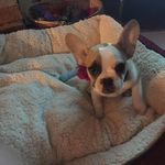 Jody Jankowski-Weaver - @jweaver9808 - Instagram