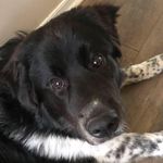 Jody Lloyd Weaver - @jodyweaver777 - Instagram