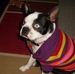 Jody Welch - Facebook