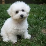 Jody WILCOX - @jodywilcox8 - Instagram