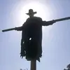 Joey Willingham - @joey.willingham - TikTok