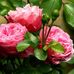 Jodie Winstead - Facebook