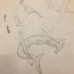 Joe Ables - @narwhalking1st - Instagram