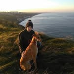 Joe Adamson - @joe.adamson17 - Instagram
