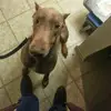 joe agee - @joe.agee62 - TikTok