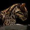 Joe.Akerss - @joe.akerss - TikTok