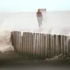 joeallevato - @joeallevato - TikTok
