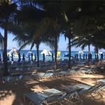 Joe Allman - @allman.joe - Instagram