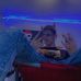 Joe Allman - Facebook