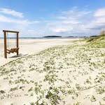 Joseph Antonellis - @joe_antonellis - Instagram